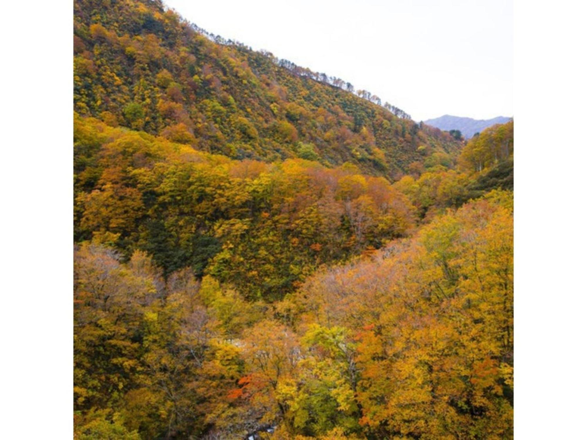 Shintainai Onsen Royal Tainai Park Hotel - Vacation Stay 90212V Zewnętrze zdjęcie