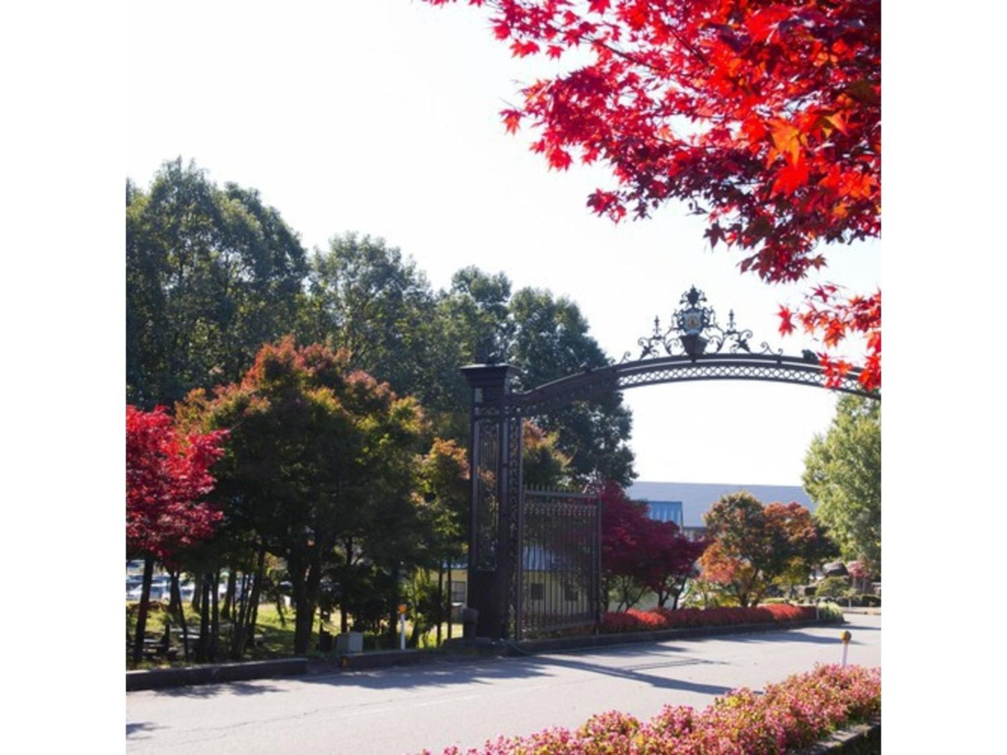 Shintainai Onsen Royal Tainai Park Hotel - Vacation Stay 90212V Zewnętrze zdjęcie